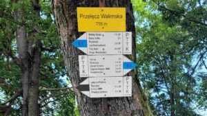 Read more about the article ŚWIDNICA → PRZEŁĘCZ WALIMSKA → ŚWIDNICA ║Dystans: 50 km║Czas: 3-6 godz.║Poziom: 5/5║